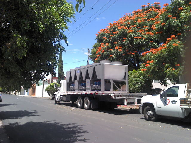 Sin Nombre